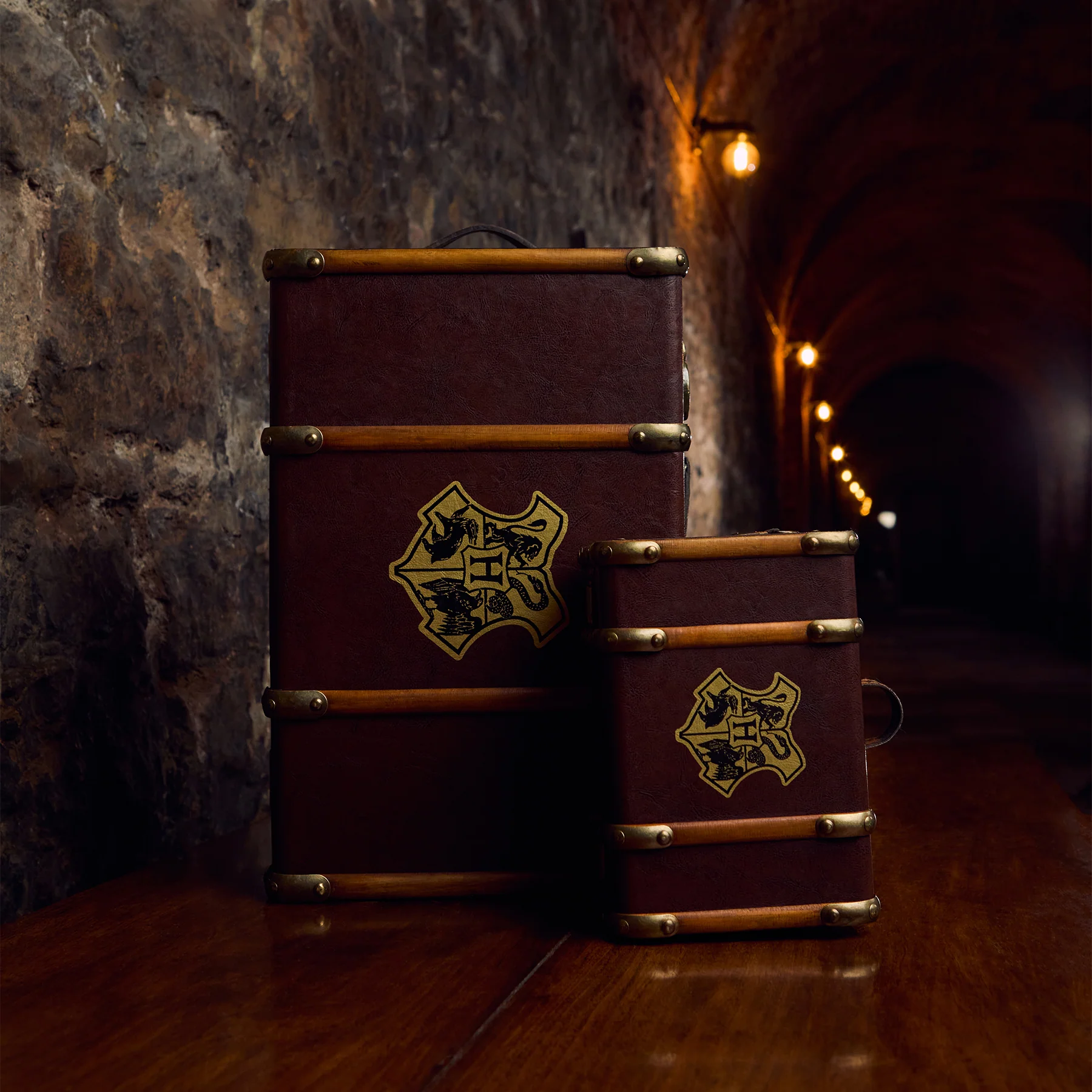 Hogwarts School Trunk Replica Combo - Image 4